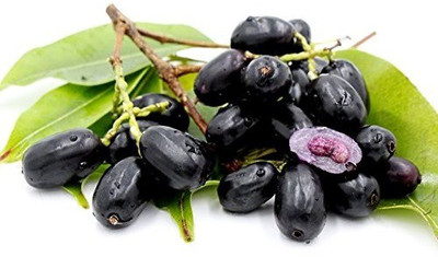 VibeX Jamun - Plant Seed Seed(5 per packet)