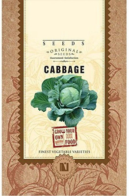VibeX Cabbage Seed(300 per packet)