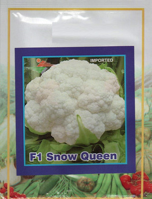 CRGO CAULIFLOWER , PHHOL GOBHI Seed(100 per packet)