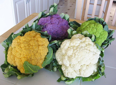 VibeX Cauliflower Seed(200 per packet)