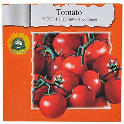 VibeX Tomato Seed(250 per packet)