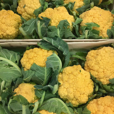 VibeX XII-369-Cauliflower F1 Hybrid Yellow Variety Vegetable Seeds Seed(500 per packet)