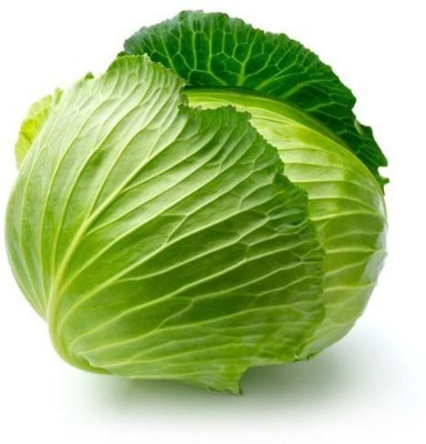 VibeX Cabbage Seed Vegetable For Home Bonsai Seed(150 per packet)
