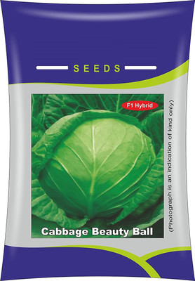Qualtivate Cabbage Seed(100 per packet)