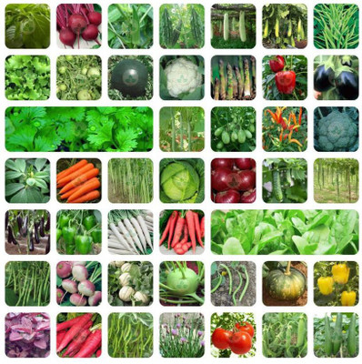 FLARE SEEDS Vegetable Seeds Combo 45 Varieties Home Garden Pack Seed 2000 per packet Seed(45 per packet)