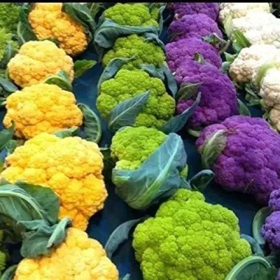 DROXTY ™ XII-295-CAULIFLOWER ORGANIC F1 HYBRID SEEDS Seed(100 per packet)