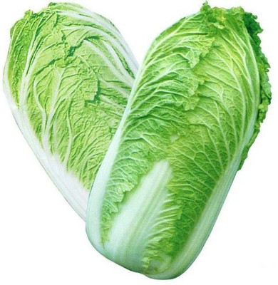 Qualtivate ™ Green Chinese Cabbage Seeds Seed(250 per packet)