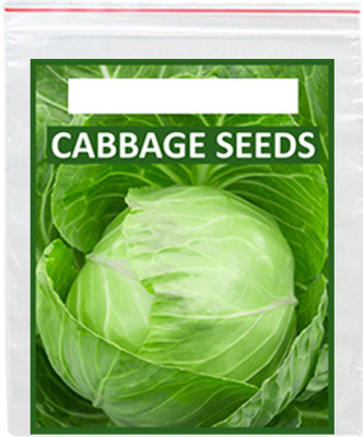 VibeX ™ XXL-612-High Yield Organic Vegetable Seeds - Cabbage Seed(60 per packet)