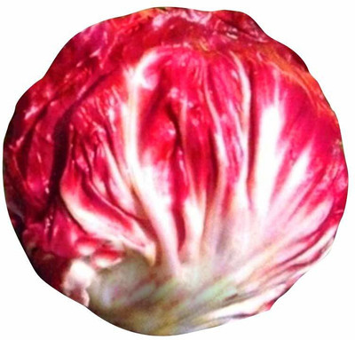 VibeX ® XXL-709-Red Cabbage Vegetable Seeds Seed(600 per packet)