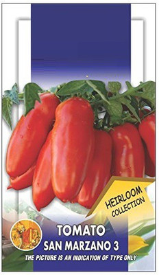 VibeX TOMATO Seed(200 per packet)