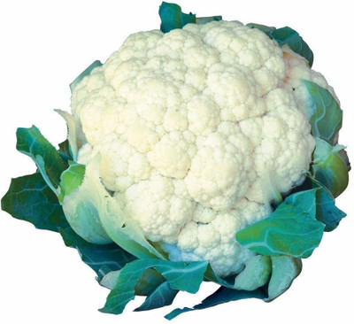 CRGO CAULIFLOWER , PHHOL GOBHI Seed(300 per packet)