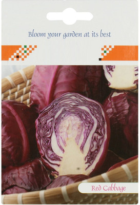 Qualtivate cabbage Seed(100 per packet)
