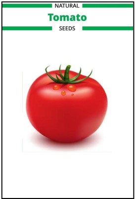 VibeX Tomato Seed(1000 per packet)