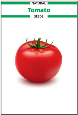 VibeX Tomato Seed(1000 per packet)