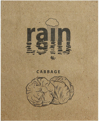WILLVINE Cabbage Seeds For Home Garden Seed(200 per packet)