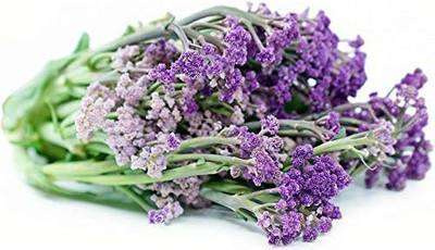 CRGO CAULIFLOWER , PHHOL GOBHI Seed(900 per packet)