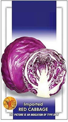 Qualtivate Cabbage Seed(1000 per packet)