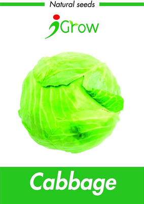 VibeX Cabbage Seed(150 per packet)