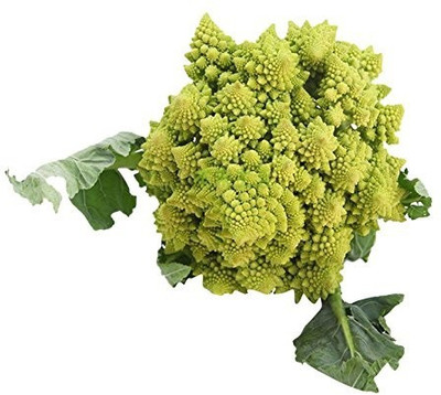 VibeX XII-441-High Germination Dutch Pagoda tower cauliflower seeds Seed(20 per packet)