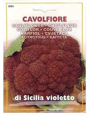 VibeX Cauliflower Seed(60 per packet)