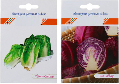 VibeX ™ XXL-226-2 in 1 Chinese Cabbage and Red Cabbage Hybrid Seed Packet Seed(175 per packet)