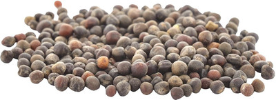 VibeX Cabbage Seed(500 per packet)