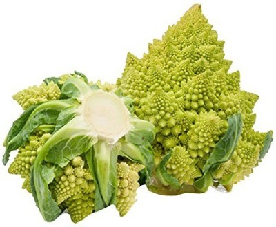 DROXTY ® XII-460-Quick Germination Dutch Pagoda tower cauliflower seeds Seed(1000 per packet)