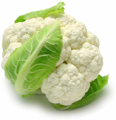 CYBEXIS ATS-84 - Cauliflower - High Yielding - (450 Seeds) Seed(450 per packet)