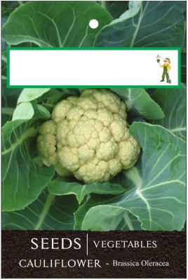 CRGO CAULIFLOWER , PHHOL GOBHI Seed(80 per packet)