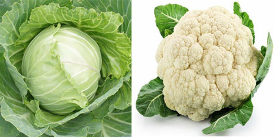 CRGO CAULIFLOWER , PHHOL GOBHI Seed(1000 per packet)