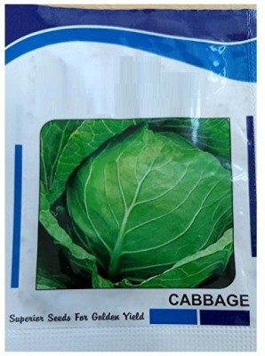 VibeX Cabbage Seed(100 per packet)