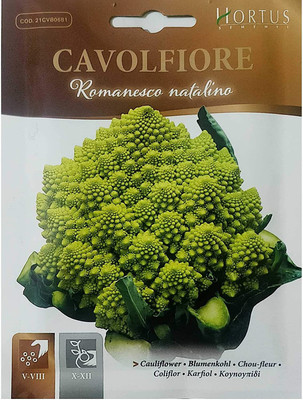 VibeX ® XII-708-Fast High Germination Broccoli Romanesco Seeds Seed(150 per packet)