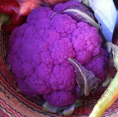 Qualtivate ™ Farm Cauliflower Violetto (Violet) Seeds Seed(100 per packet)