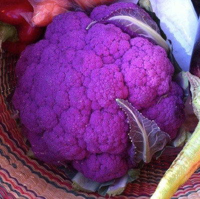 MKR Enterprises Purple Cauliflower Seed(200 per packet)