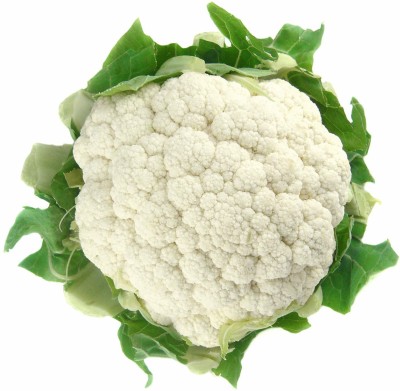 Biosnyg F1 Hybrid Cauliflower High yielding Vegetable seeds 50gm Seeds Seed(50 g)