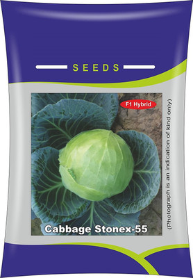 VibeX CABBAGE Seed(60 per packet)