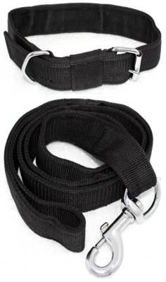 Big dog sales belt
