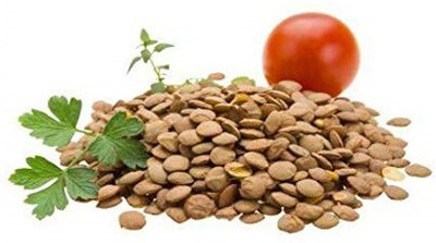 VibeX Tomato Seed(250 per packet)