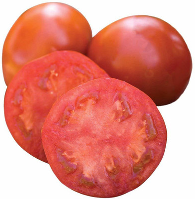 VibeX Tomato Seed(250 per packet)