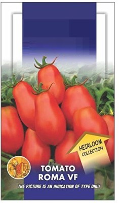 ActrovaX Tomato Roma Vf Herloom [1000 Seeds] Seed(1000 per packet)