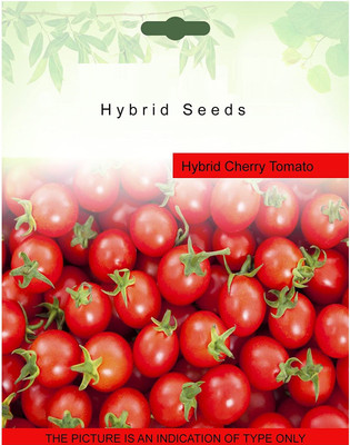 VibeX Tomato Seed(250 per packet)