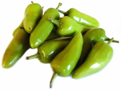 VibeX Green Round Chilli seed Seed(500 per packet)
