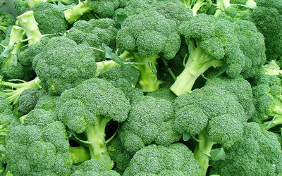 Qualtivate Broccoli Seed(25 per packet)