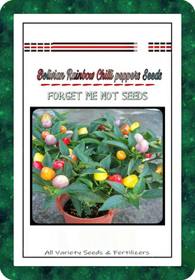 VibeX Chilli Seed(250 per packet)