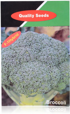 VibeX Broccoli Seed(120 per packet)