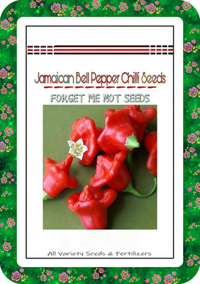 VNR ® Jamaican Bell Pepper Chilli Seeds High Quality Hybrid Seed(50 per packet)
