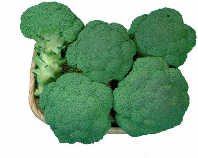 VibeX ™ XXL-389-Heirloom Quality Broccoli F1 Hybrid Seeds Seed(250 per packet)