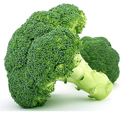 VibeX Broccoli Seed(175 per packet)