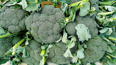 VibeX Broccoli Seed(75 per packet)