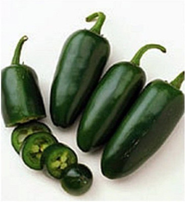 ActrovaX Pepper, Chilli Jalapeno Pickled Chilli [1000 Seeds] Seed(1000 per packet)
